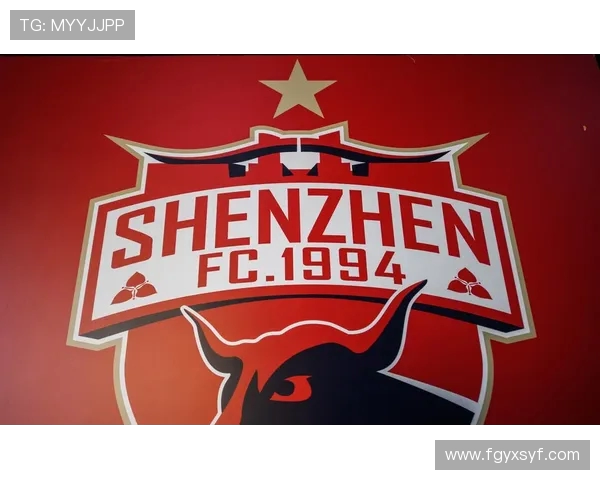 深圳篮球队的控制策略与战术解析：从数据看球队表现与未来发展