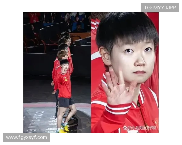 探寻篮球运动员成长历程与赛场风云背后的坚持与荣耀力量之旅绽放